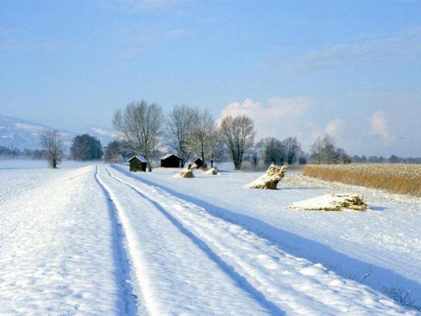 Святитель прокл Константинопольский