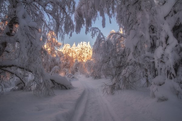 4 Мая праздники в этот день
