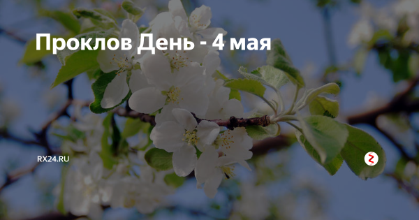 День Прокла 3 декабря картинки