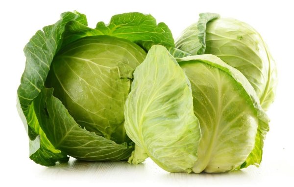 Капуста свежая