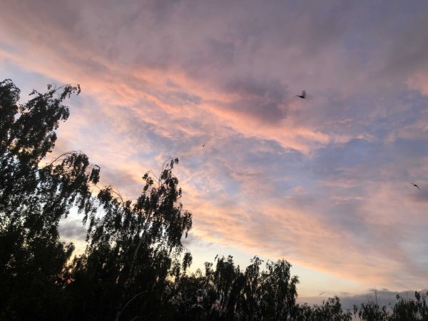 Устинов день 14 июня картинки с приметами