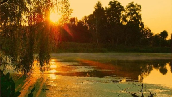 14 Июня Устинов день Устин брусничные