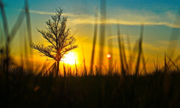 Солнце меркло