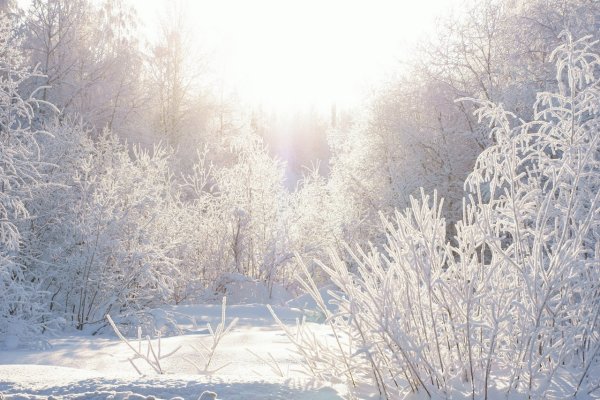 Питер Устинов книги