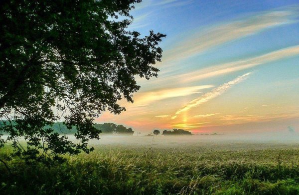 26 Июня приметы