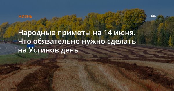 Художник Устинов лето