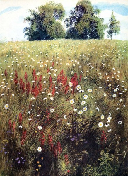 3 Октября день брусники