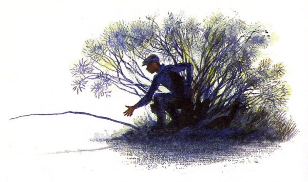 14 Июня картинки