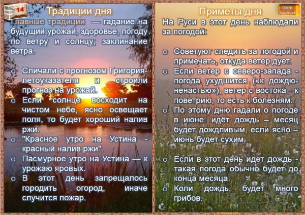 Настоящие цветы на поле