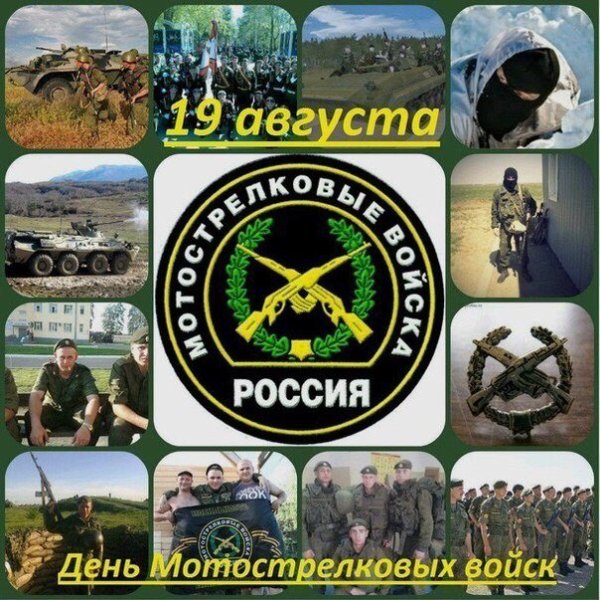 Мотострелковые войска (МСВ)