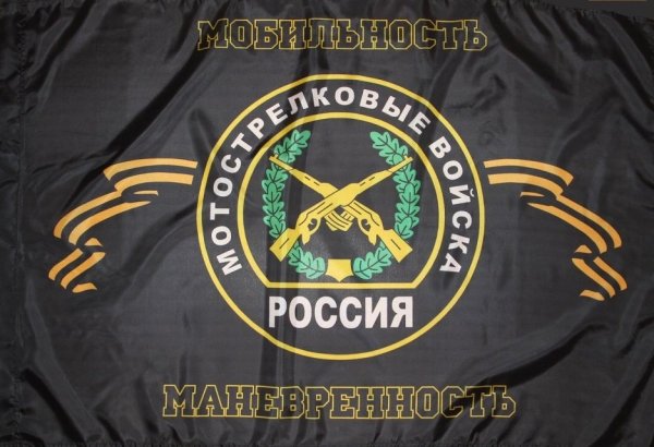 Мотострелковые войска (МСВ)