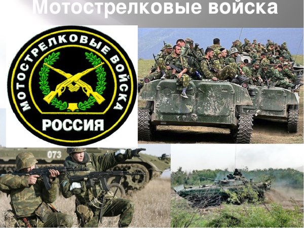 Мотострелковые войска (МСВ)