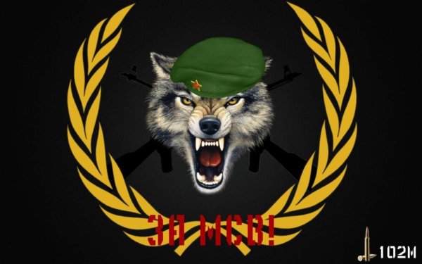 Мотострелковые войска готовы для броска