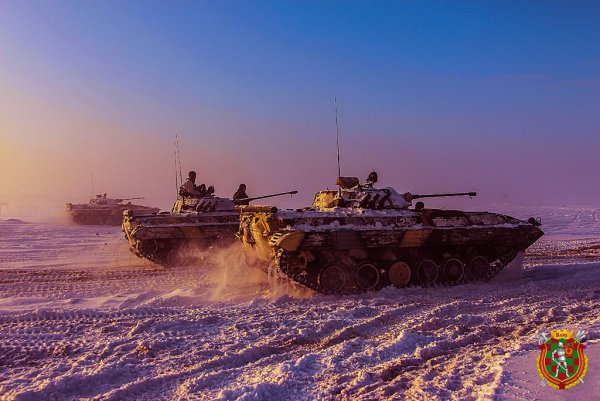 Мотострелковые войска БМП 2