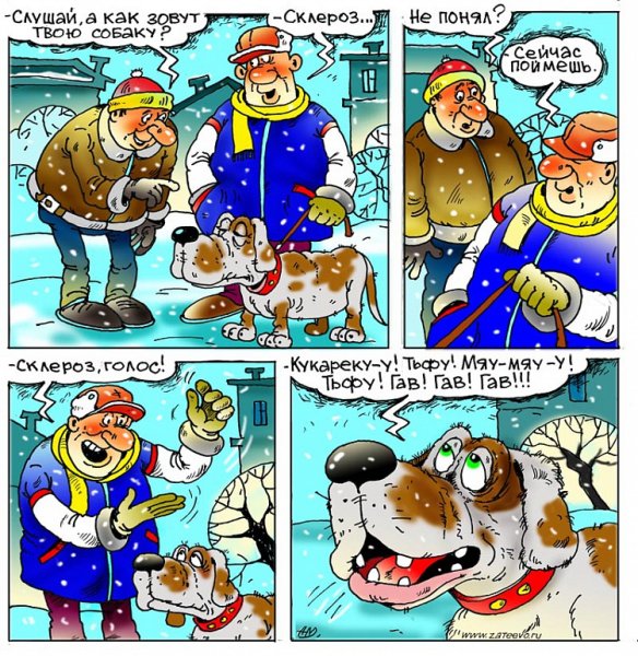 Шутки про забывчивость и склероз