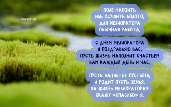 День мелиоратора в России
