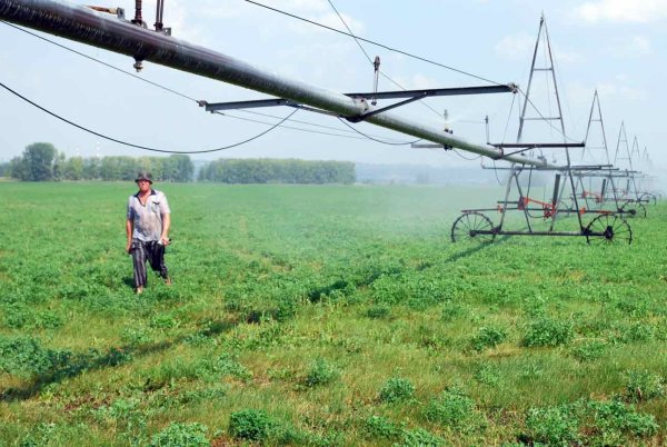 Системы орошения для пшеницы