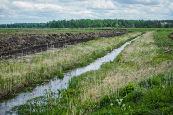 Почвоочищающее орошение