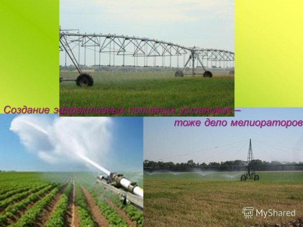 Мелиоративные работы фото