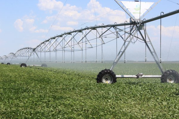 Агроном карикатура