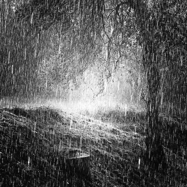 Ливень серый