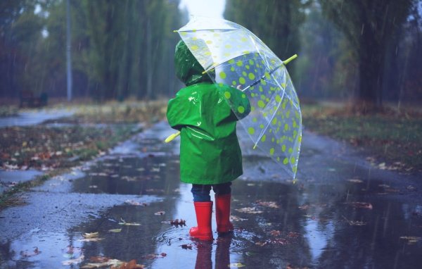 Осень дождь