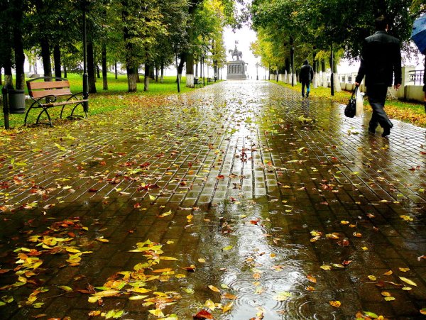 Осенний дождик