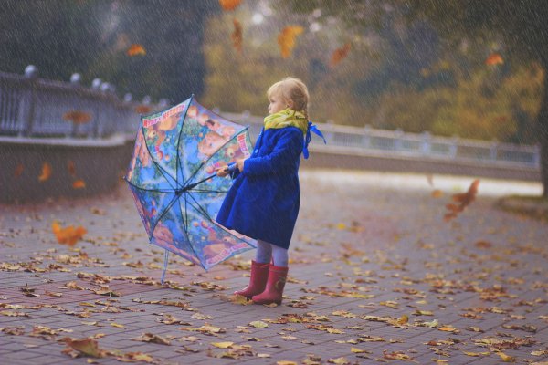 Осенний ливень