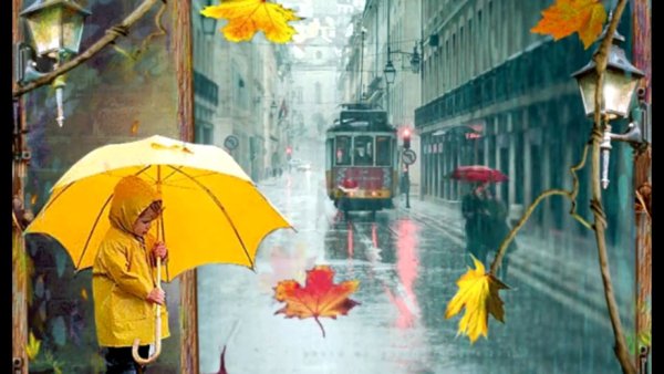 Дождливое утро осенью