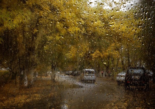 Осенний ливень
