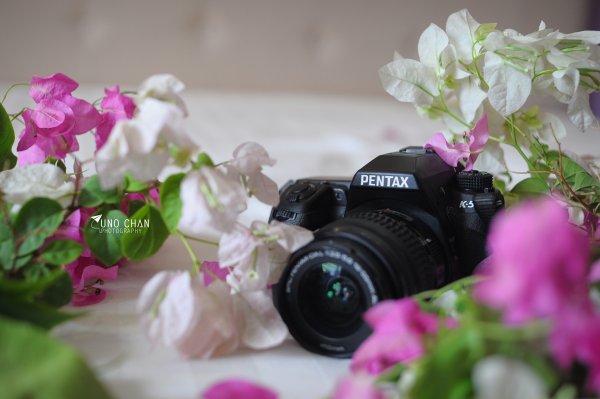 Фотоаппарат с цветами