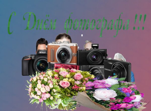С днём фотографа открытки