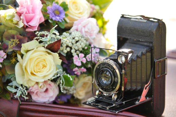 Фотоаппарат и цветы