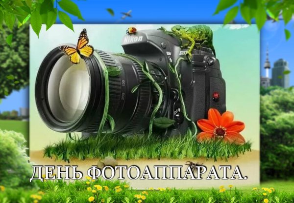 Фотоальбом и фотоаппарат