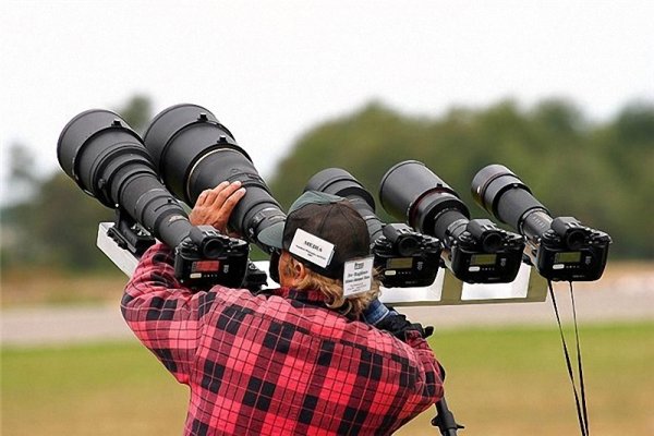 Фотокамера и цветы