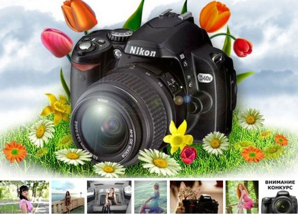 Кошка с фотоаппаратом