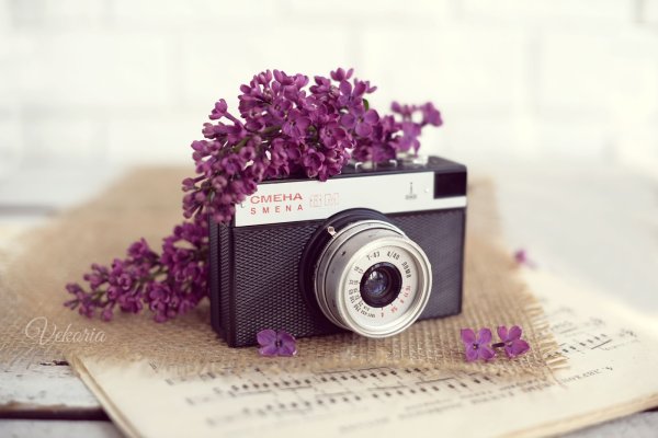 С днем рождения фотографу