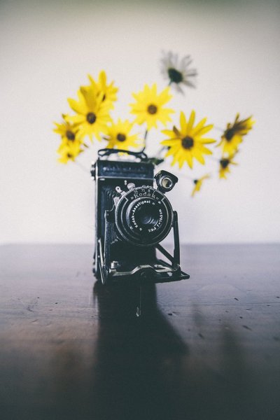 Фотоаппарат на природе