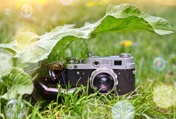 Фотоаппарат Mimosa 2