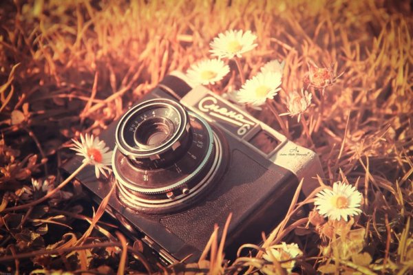 Яркий фотоаппарат