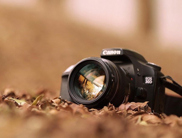 Осенний фотоаппарат