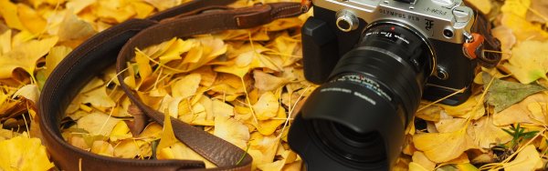 Фотоаппарат с птичкой