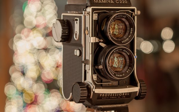 Фотоаппарат и цветы