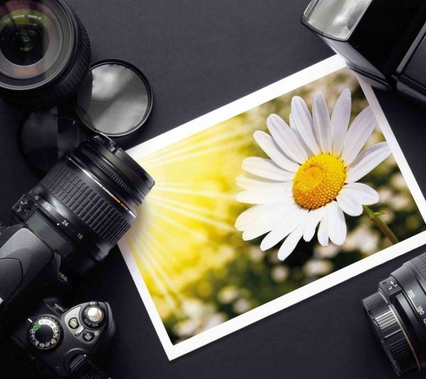 Обезьяна с фотоаппаратом