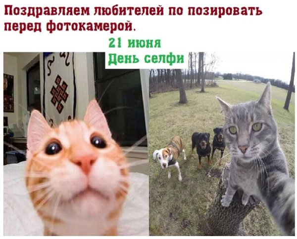 День смешного селфи. ￼