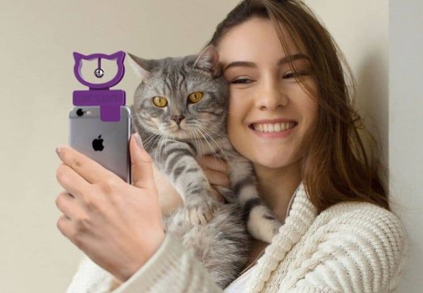 Селфи с котами
