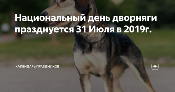 День дворняжки 31 июля