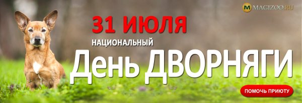 31 Июля национальный день дворняги