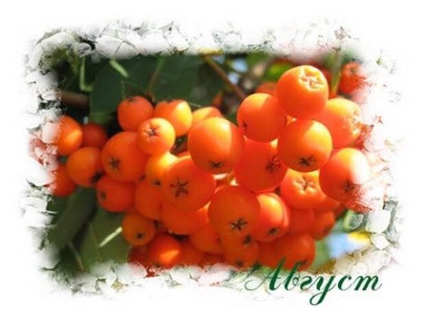 1 Августа Макринин день