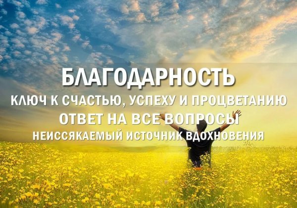 Спасибо цитаты